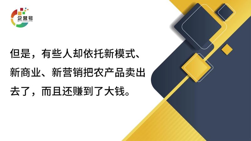 短视频代运营与自运营：两种策略的优劣解析